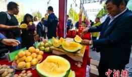 河津吃瓜最新事件爆料,揭秘背后惊人真相！