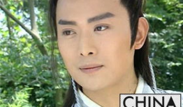 黄海冰电视剧大全,演绎传奇人生，诠释百态人生